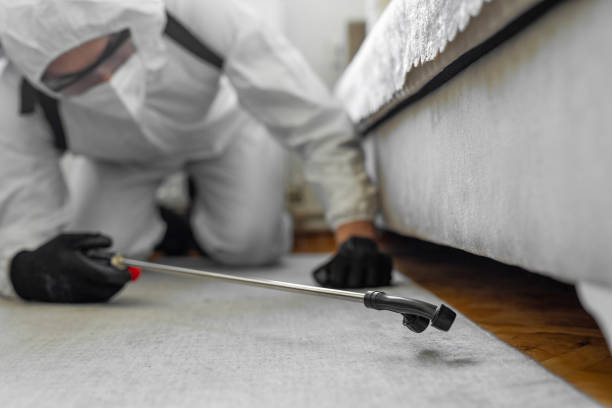 Professional Cockroach Control technician working in Montesano, WA