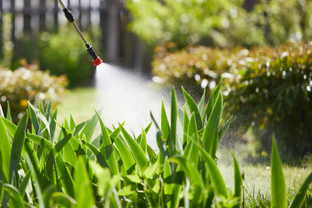 24/7 Emergency Cockroach Control experts in Montesano, WA
