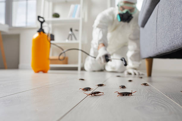 Trusted Cockroach Control service in Montesano, WA - Nex Pest Control
